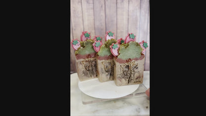 Chocolate Covered Strawberry
